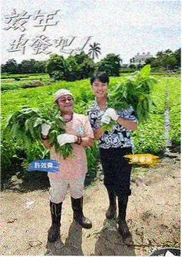 我在宋朝当账房 完本历史穿越小说封面